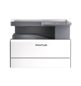 МФУ Pantum BM231N (BM231N)